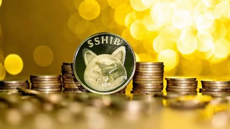 A Comprehensive Guide on How to Buy SHIB