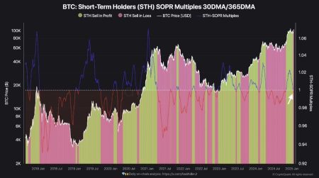 BTC Price Trends Suggest Potential Long-Term Accumulation Amid Short-Term Holder Activity