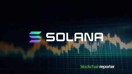 Hedera & Solana Investors Flock to DTX Exchange—Is It the Next Big DeFi Disruptor?