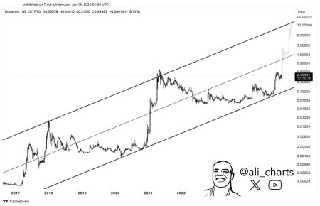 Dogecoin ETFs Will Skyrocket Price To , Forecasts Analyst