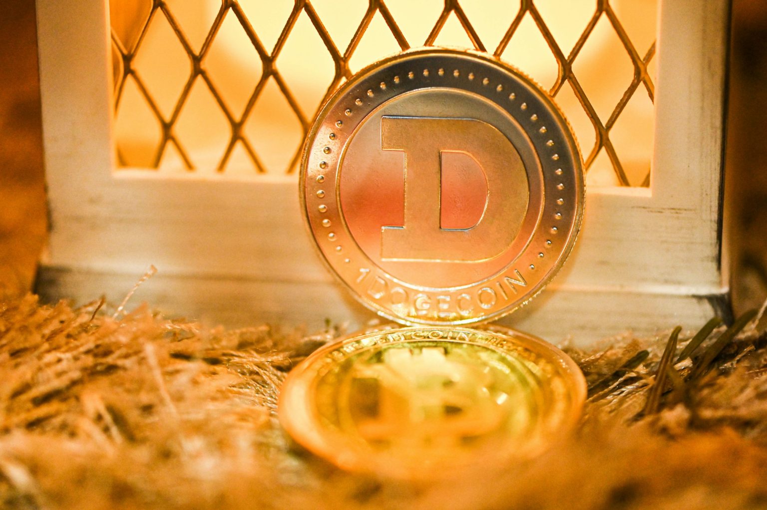 Dogecoin Positioned To Outperform Previous Bull Cycles? Market Expert Shares Insights