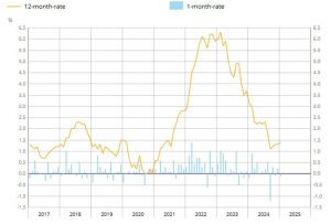 France January preliminary CPI +1.4% vs +1.5% y/y expected