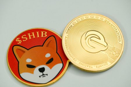 Shiba Inu Burn Rate Sees Major 600% Jump In Only 24 Hours, Will SHIB Price Follow Suit?