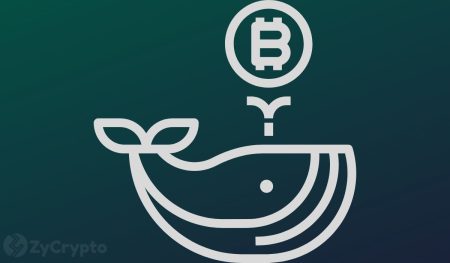 Ancient Bitcoin Whales Transfer 14K BTC After Seven Years, What’s Going On? ⋆ ZyCrypto