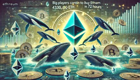 Big Players Keep Buying Ethereum – Whales Accumulate 430,000 ETH In 72 Hours