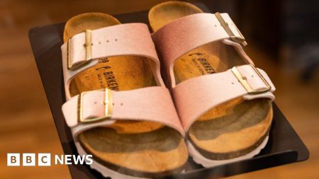 Birkenstock sandals are not art, says German court