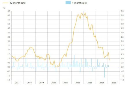 France February preliminary CPI +0.8% vs +1.0% y/y expected