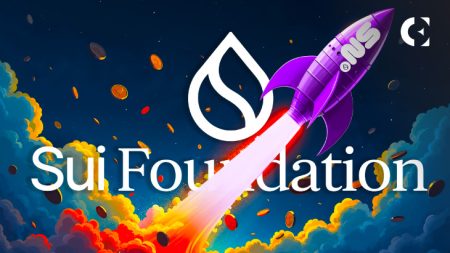 Funding for Sui Network Developers