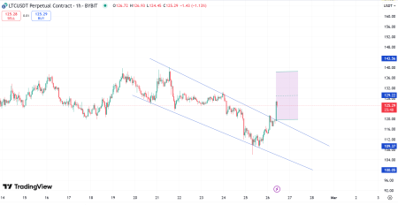 Litecoin Surges 12.8% Amid Bullish Signals: Can the Momentum Continue?