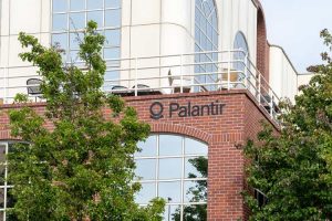 Palantir stock selloff forewarned in 10-K (PLTR:NASDAQ)