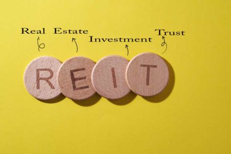 REITs pull about 50% less capital in January – report (XLRE:NYSEARCA)