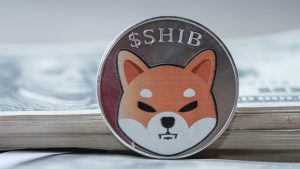 Shiba Inu’s Shibarium Records Heartbreaking 96% Crash In Transactions, What’s Going On?