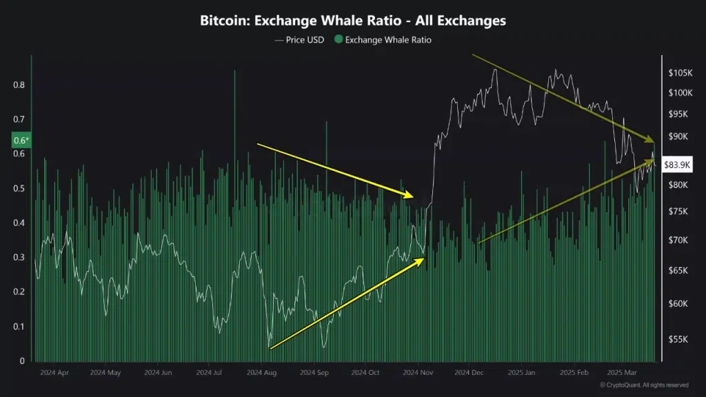 Bitcoin Faces Potential Volatility as Whale Activity and Put Option Demand Increase