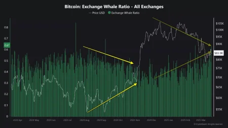 Bitcoin Faces Potential Volatility as Whale Activity and Put Option Demand Increase