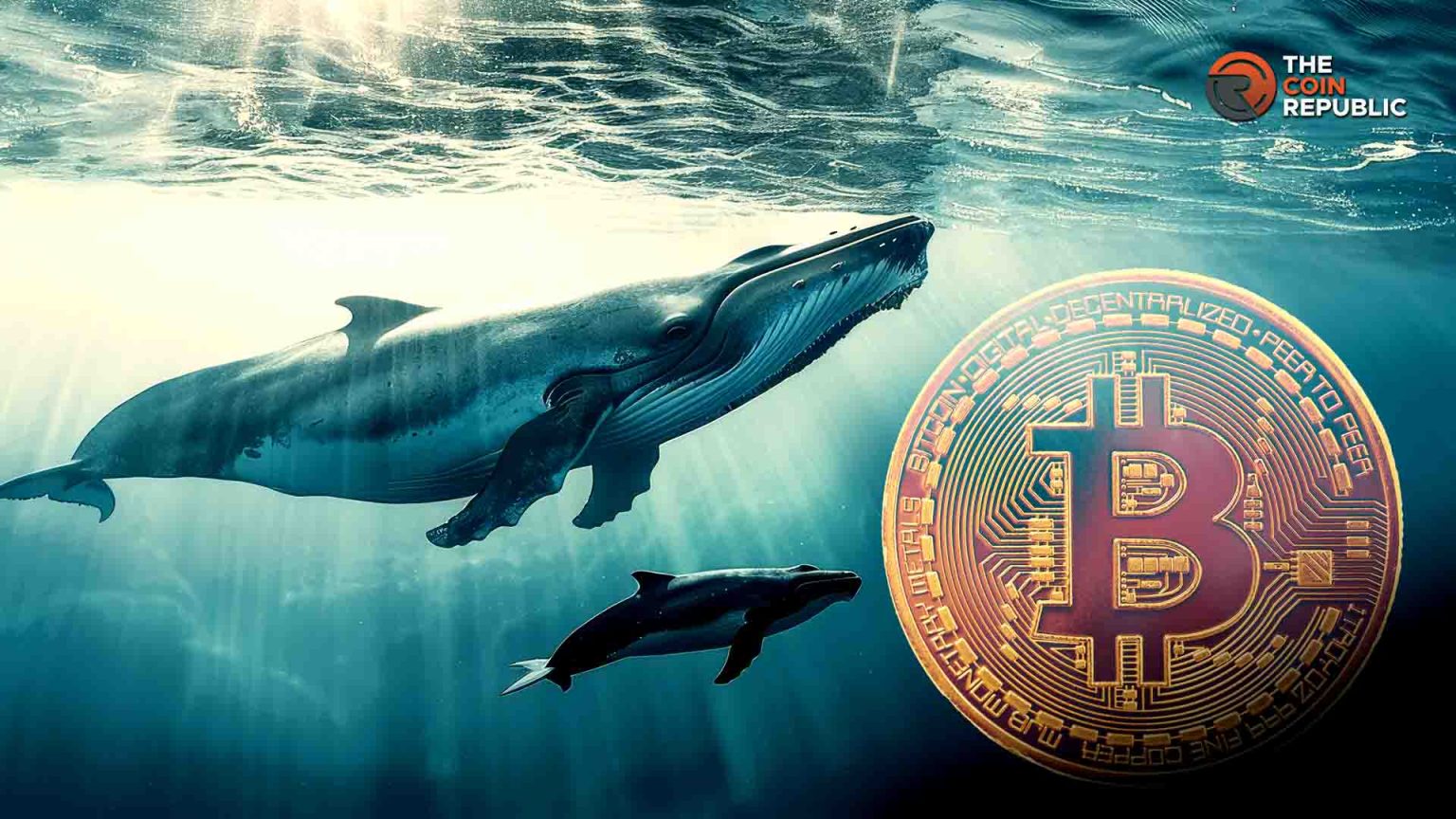 Bitcoin Whales Accumulate B, K Price Surge Possible?