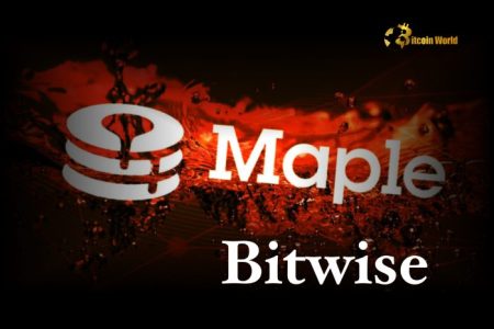 Bitwise & Maple Finance Unlock Onchain Access for Institutions