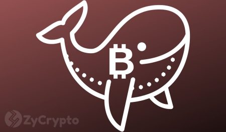 Bulls Panic as Crypto Whales Moved Over 60,000 BTC in 30 Days ⋆ ZyCrypto