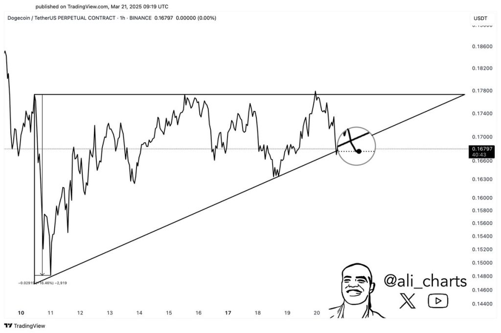 Dogecoin Breaks Under Ascending Triangle: 16% Crash Incoming?