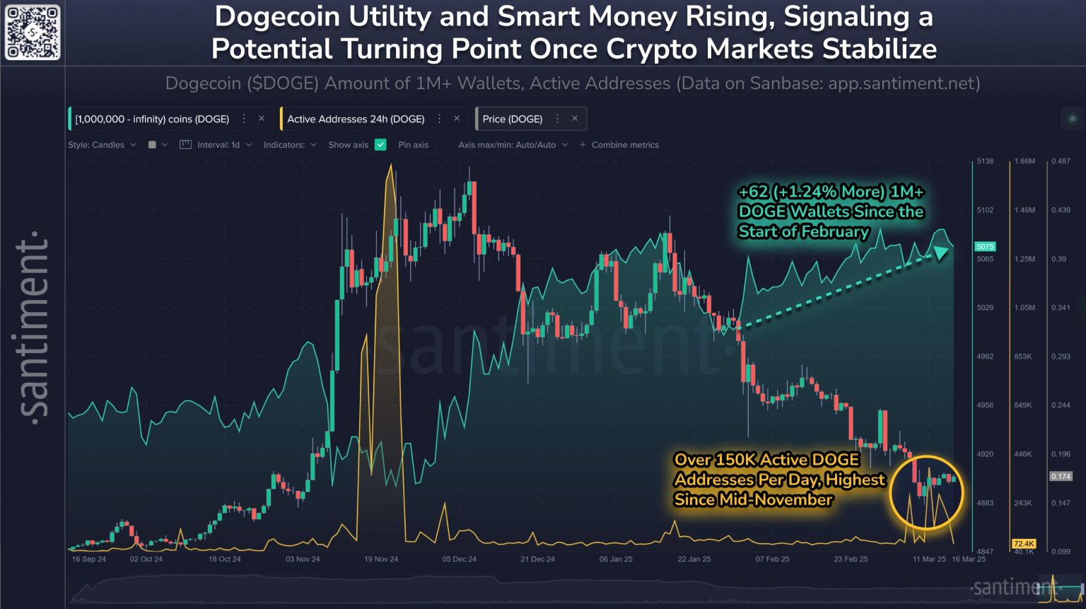 Dogecoin Shark & Whale Population Rises—Price Turnaround Incoming?