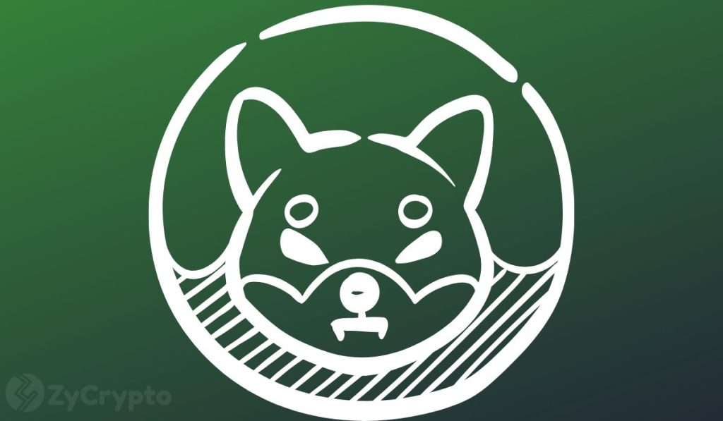 Early Bitcoin Investor Explains Why Shiba Inu (SHIB) Could Go to The Moon ⋆ ZyCrypto