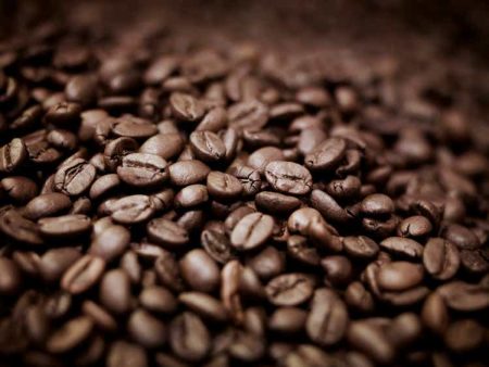 Westrock Coffee slides after warning that higher coffee prices could cut into demand (WEST:NASDAQ)