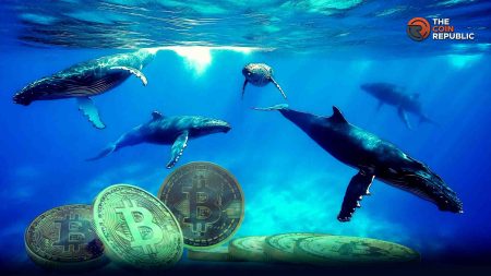 Whales Trap Price of Bitcoin Below K as Retail Piles in via ETFs