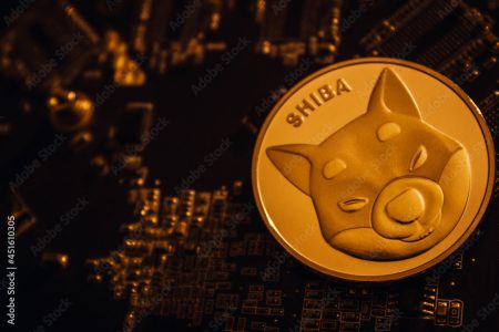 Will Shiba Inu Reclaim alt=